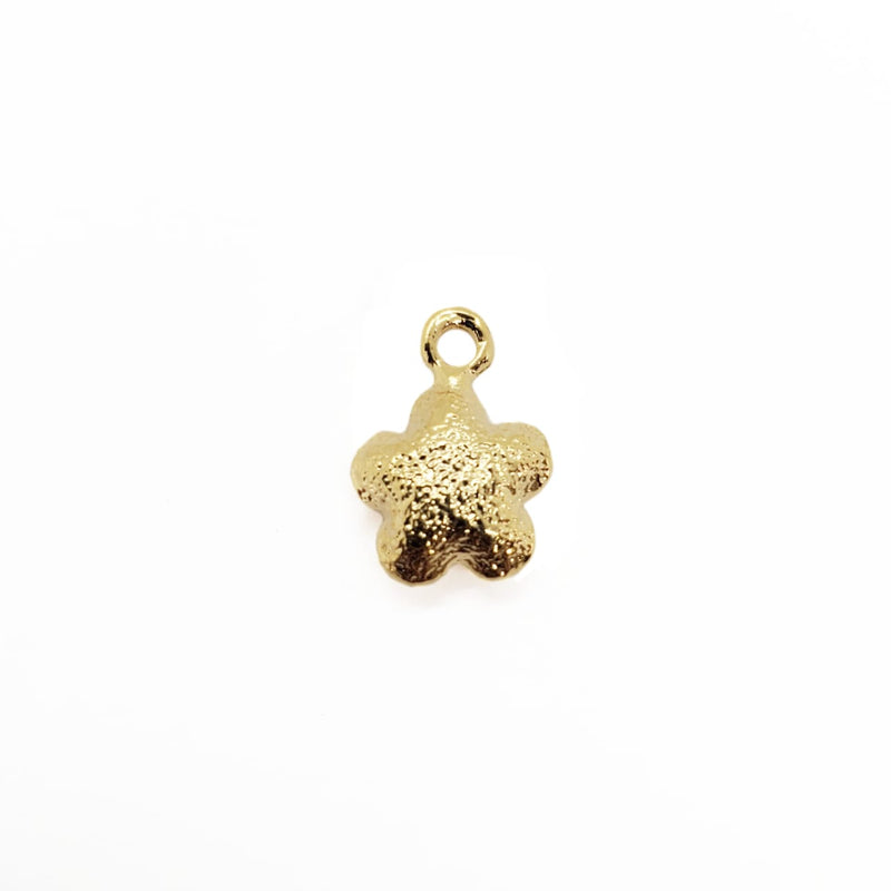 Dije Estrella de Mar Burbuja 24k Dije - Accesorios Rubi